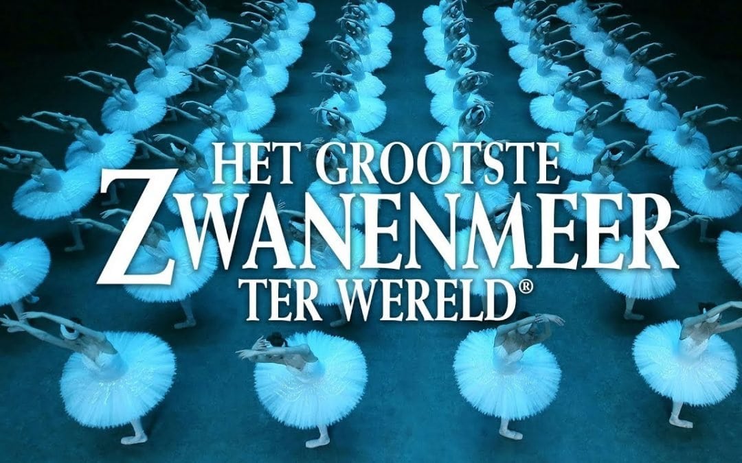 Het grootste zwanenmeer ter wereld